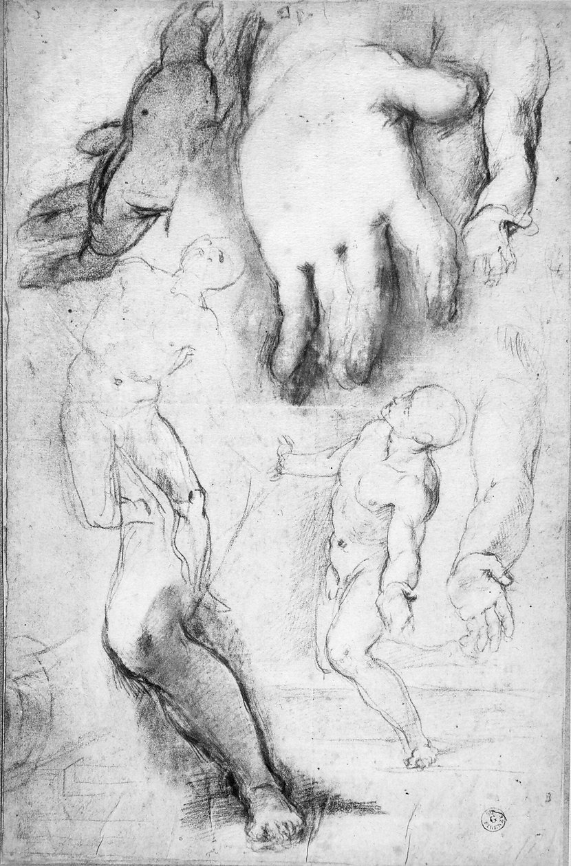 Tutkimus Pyhän Franciscuksen hahmolle (liitu paperille) tekijältä Federico Fiori Barocci or Baroccio