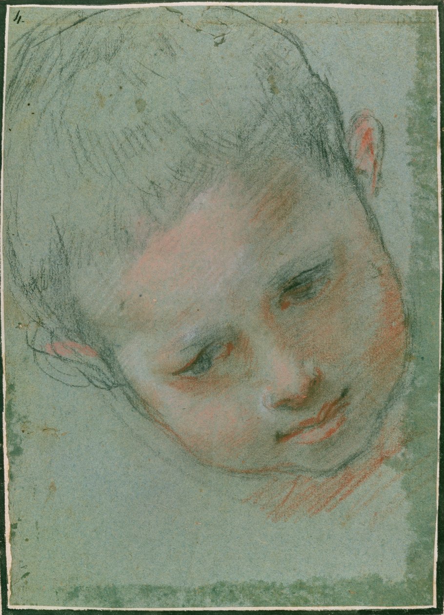Pojan pää, n. 1586-1589 musta, punainen, valkoinen ja lihanvärinen liitu) tekijältä Federico Fiori Barocci or Baroccio