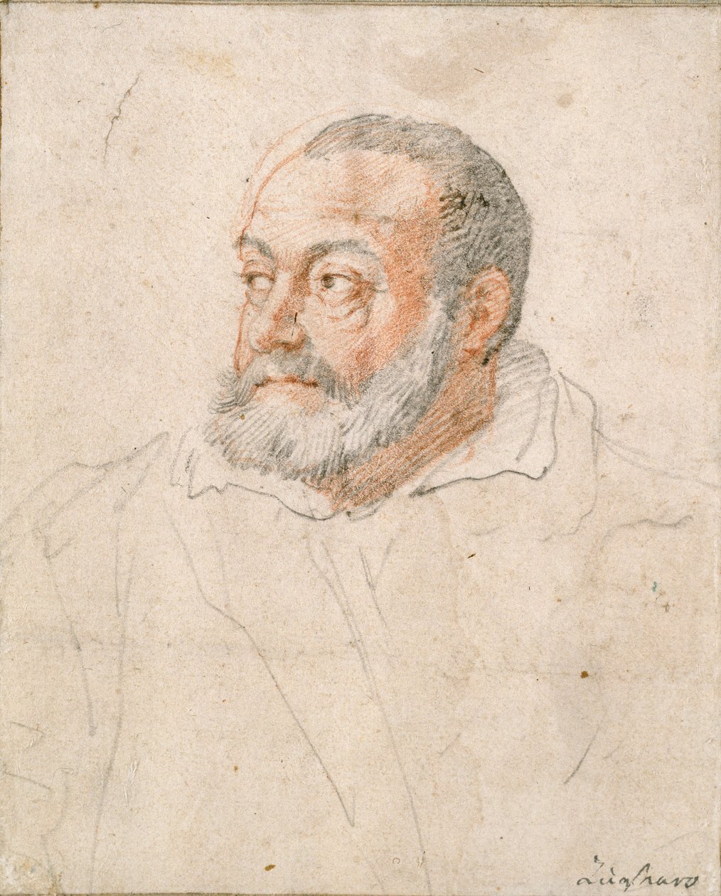 Miehen muotokuva, Barozzi da Vignola, 1500-luku tekijältä Federico Zuccaro