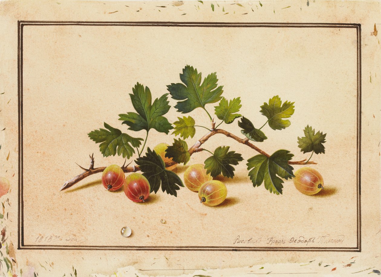Karviaisia, 1818 tekijältä Fedor Petrovich Tolstoy