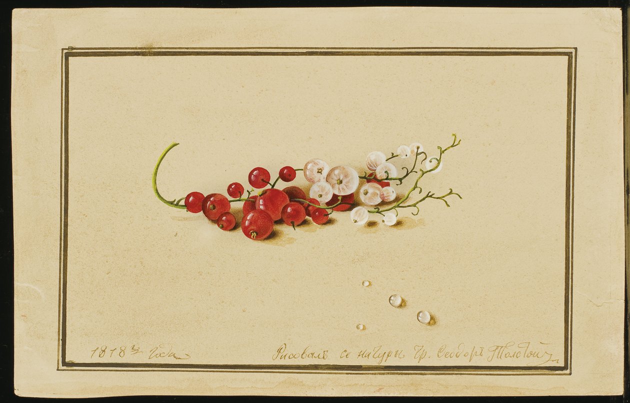 Punaiset ja valkoherukat, 1818 tekijältä Fedor Petrovich Tolstoy