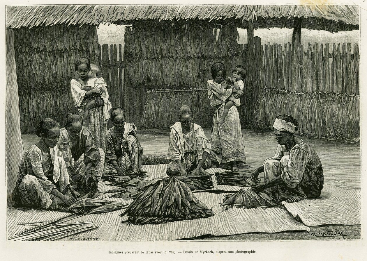 Alkuperäiskansat tekevät tupakkaa. Myrbachin kaiverrus havainnollistamaan tarinaa Lucon ja Palaouan, kuusi vuotta Filippiineillä, Alfred Marche (1844-1898), in le tour du monde 1886, ohjaaja Edouard Charton (1807-1890), Hachette, Pariisi. tekijältä Felicien baron de Myrbach Rheinfeld