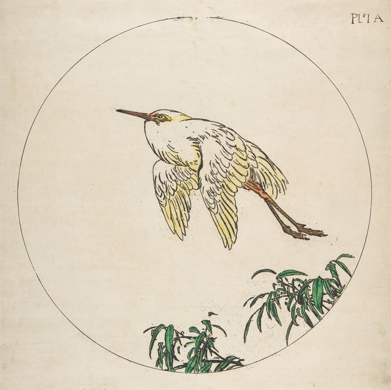 Koriste lautaselle: jalohaikara lentää bambuoksien yläpuolella, 1850-1914. tekijältä Felix Bracquemond