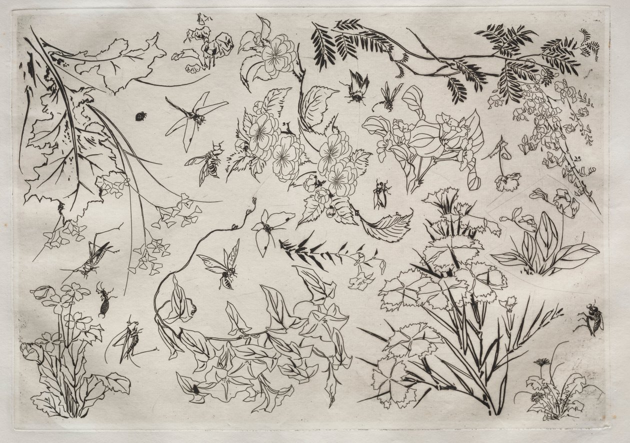 Illallispalvelu Rousseau-palvelu: Kukat no. 22, 1866. tekijältä Felix Bracquemond