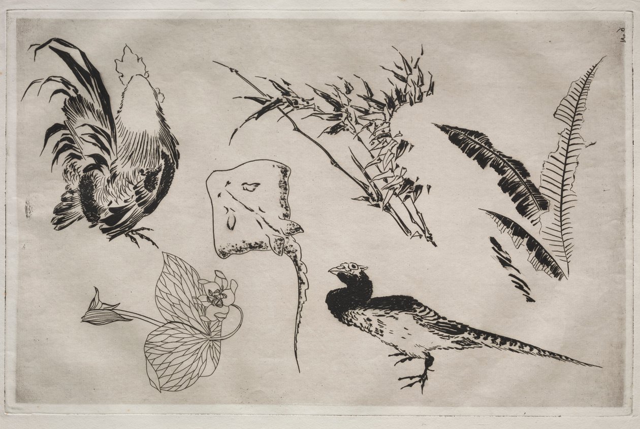 Illallispalvelu Rousseau-palvelu: Kukot, luistimet, kasvit jne. nro. 9, 1866. tekijältä Felix Bracquemond