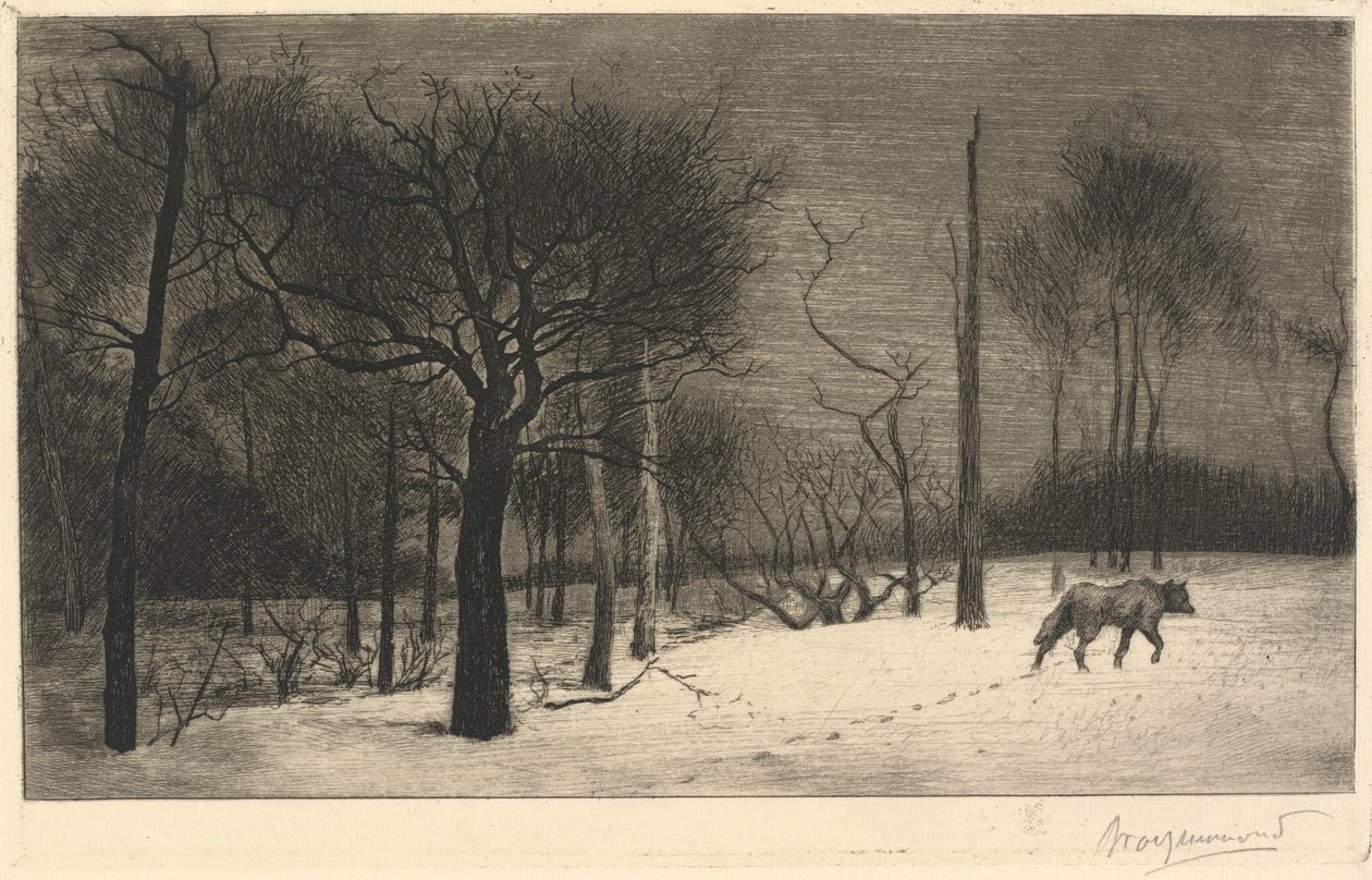talvi- tekijältä Felix Bracquemond