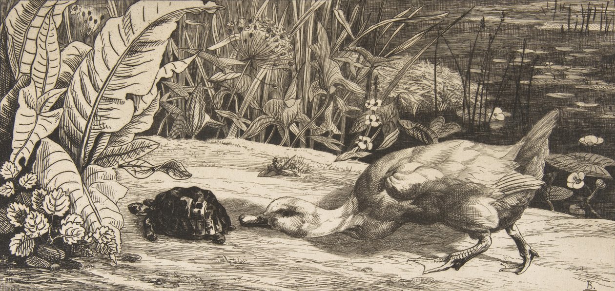 Tuntematon, 1862. tekijältä Felix Bracquemond