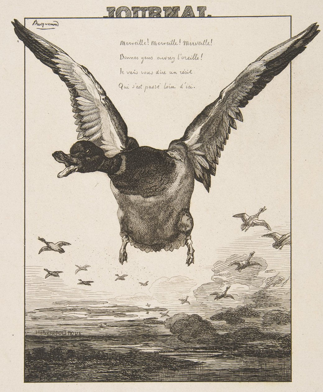 Ankka, 1856. tekijältä Felix Bracquemond