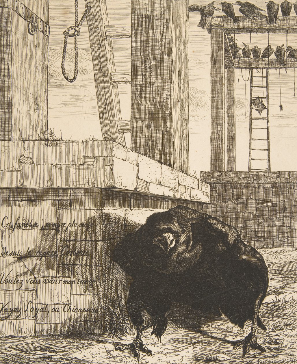 Korppi, 1859. tekijältä Felix Bracquemond