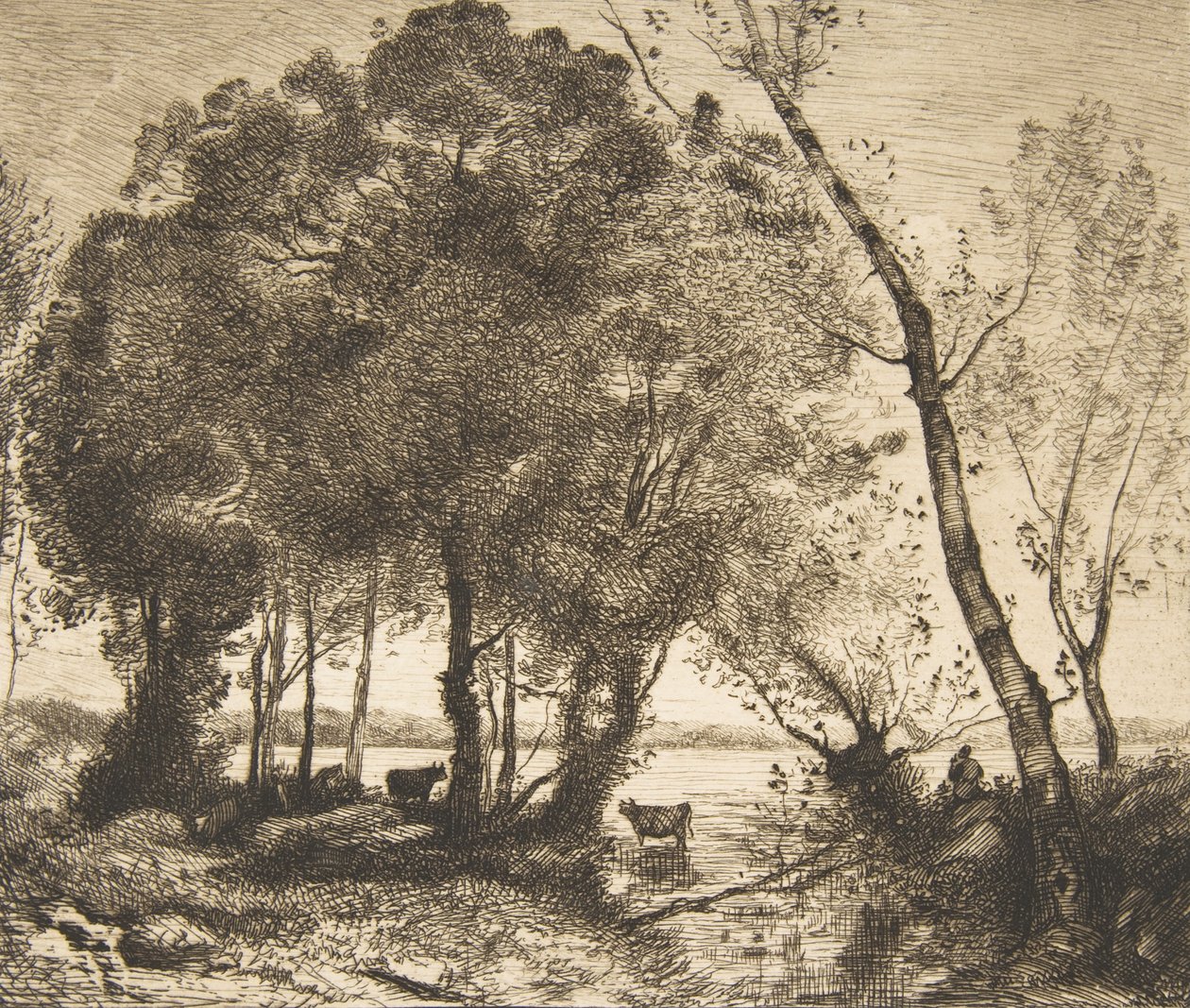 Järvi, 1861. tekijältä Felix Bracquemond