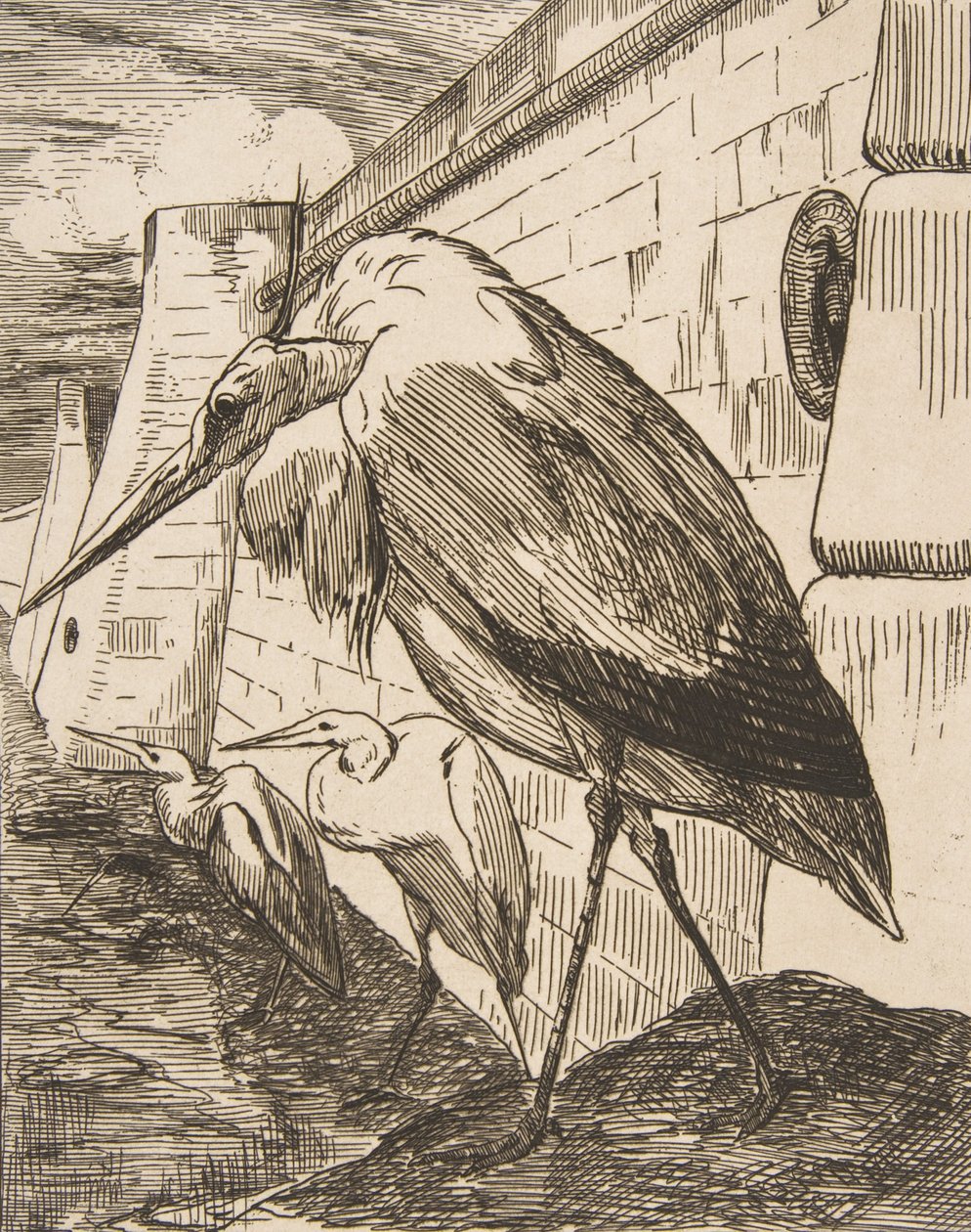 Haikarat, 1870-luvut, 1870-luvut. tekijältä Felix Bracquemond