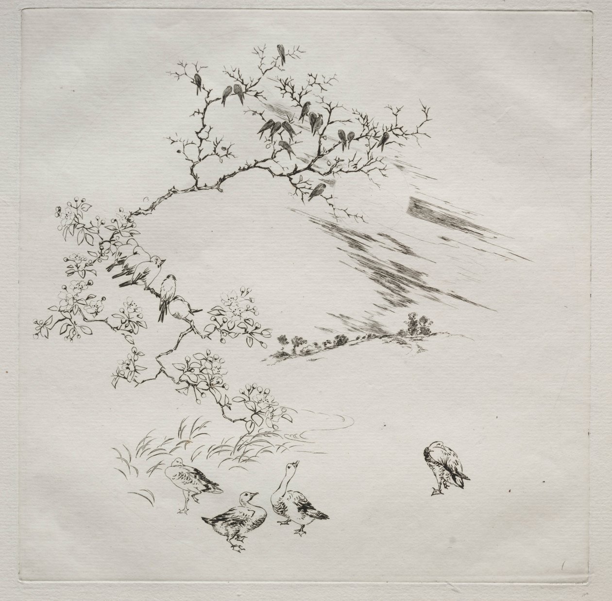 Parisian Service Haviland-palvelu: Yö nro. 7, 1875. tekijältä Felix Bracquemond
