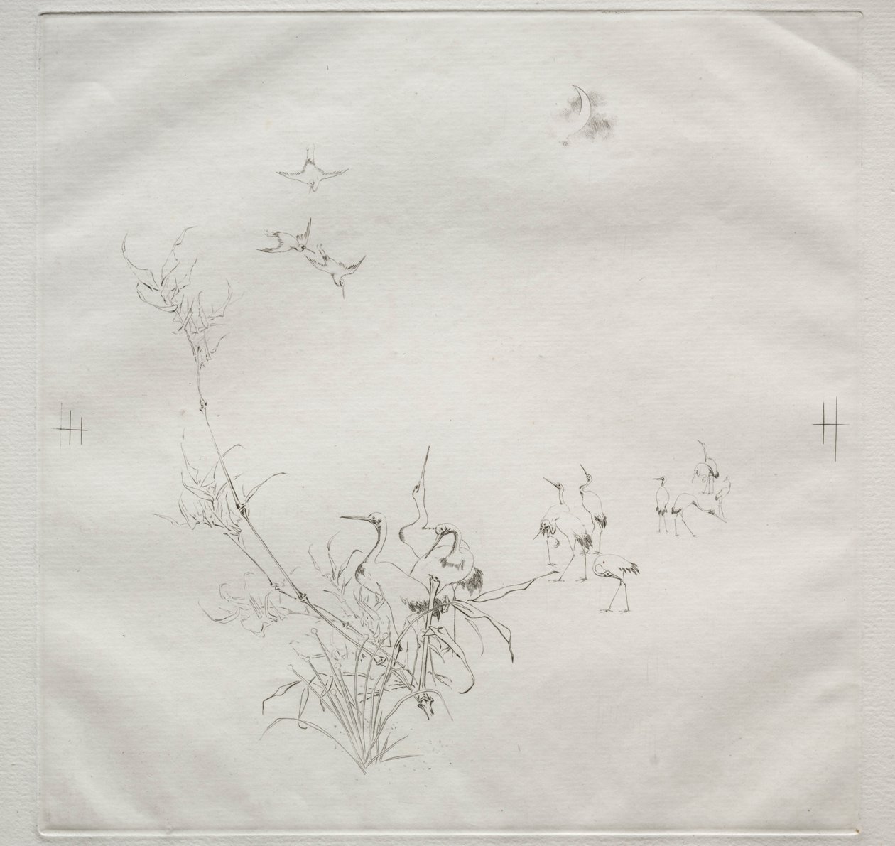 Parisian Service Haviland-palvelu: The Moon no. 5, 1875. tekijältä Felix Bracquemond