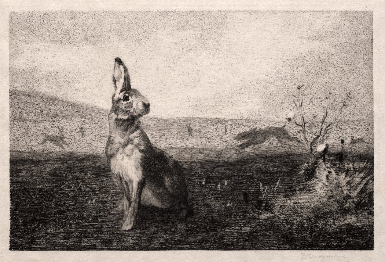 Jänis (A. de Balleroyn mukaan) tekijältä Felix Bracquemond