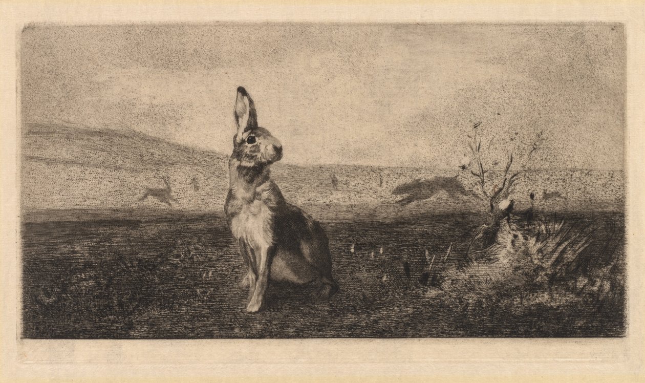 Jänis Le Hare, 1865. tekijältä Felix Bracquemond