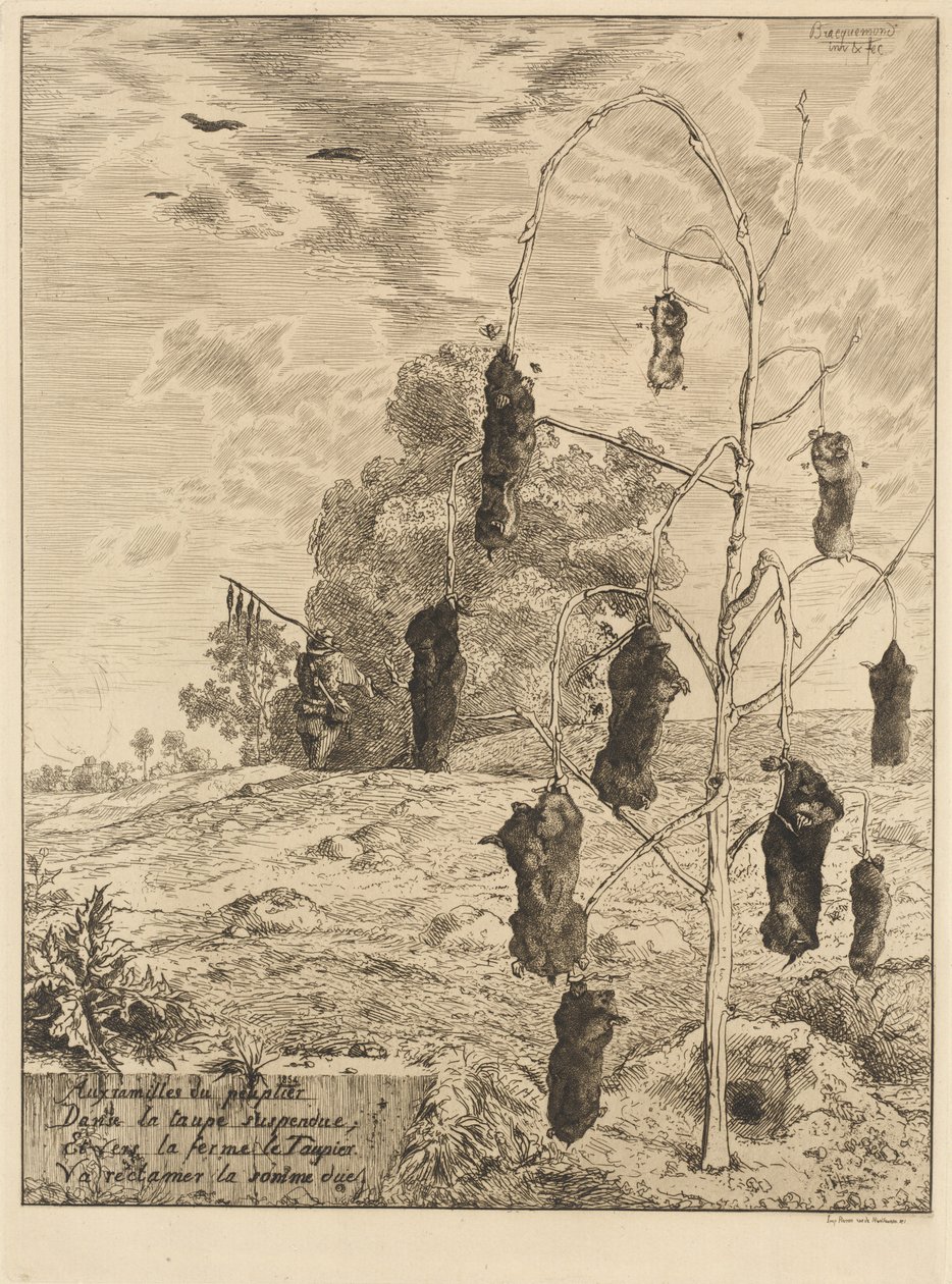 Myyrät tekijältä Felix Bracquemond