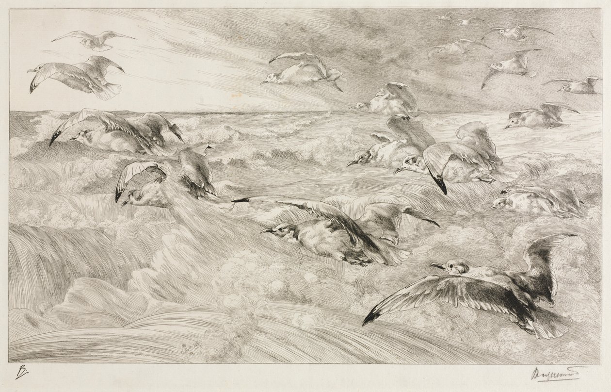 Lokit, c. 1880. tekijältä Felix Bracquemond