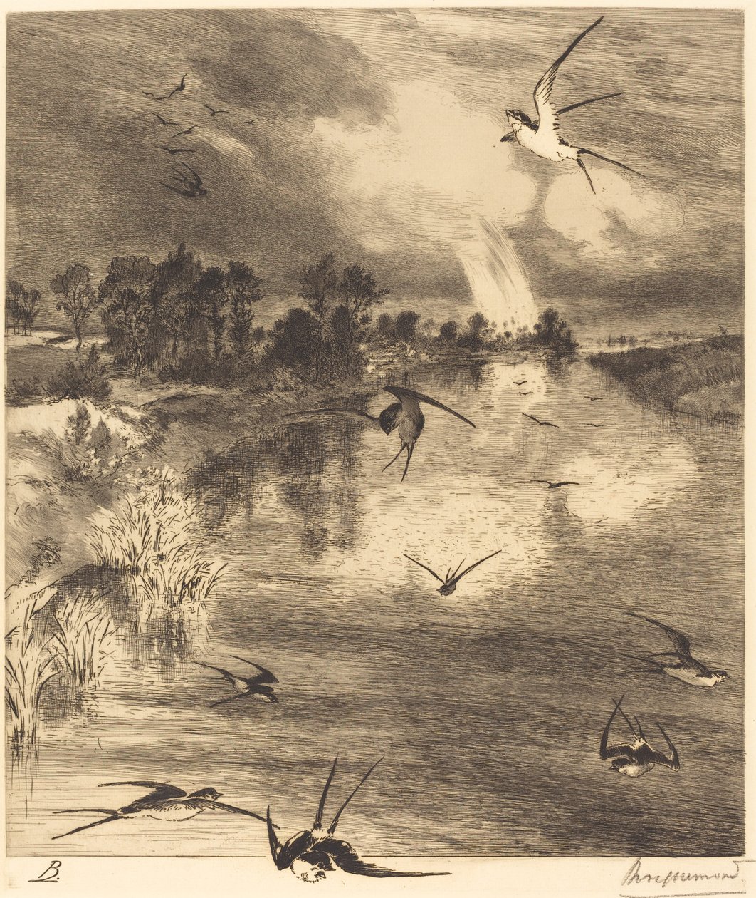 Pääskyset tekijältä Felix Bracquemond