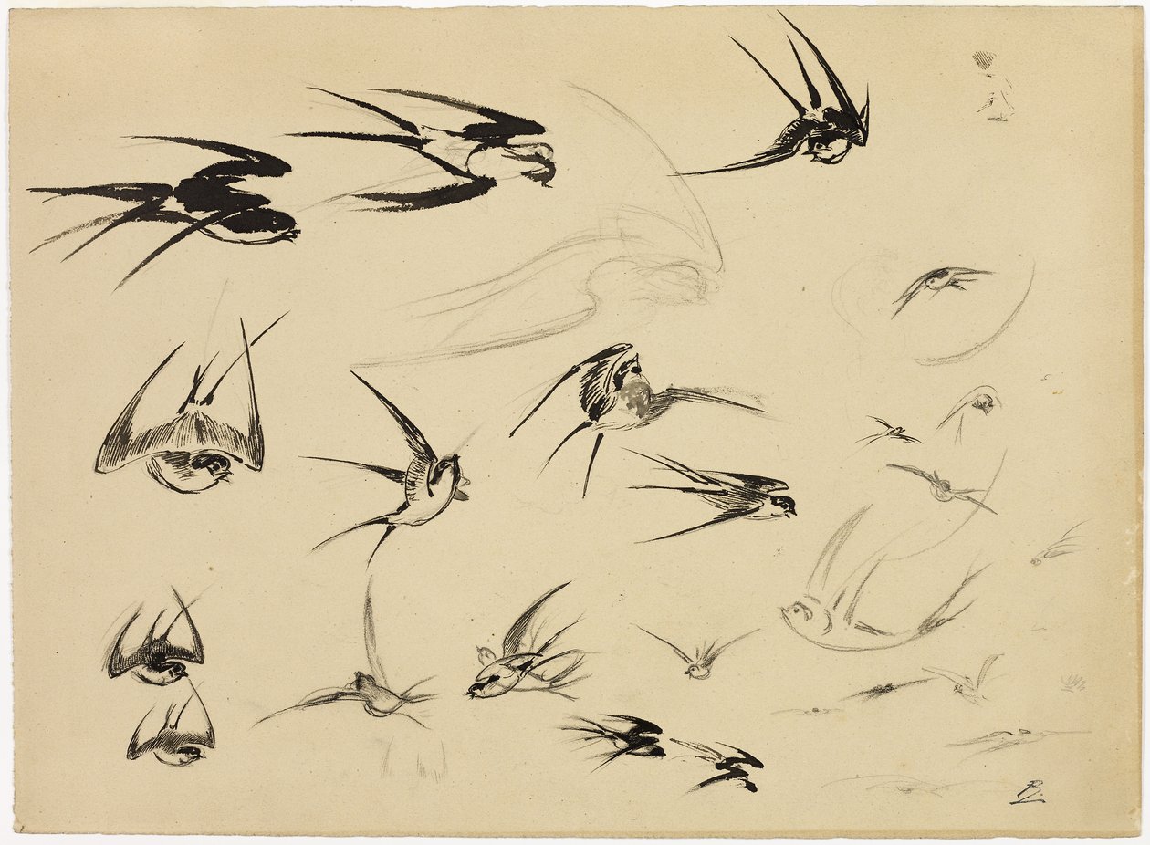 Pääskyset, noin 1881 (kynä, sivellin, muste, liitu, väriliitu ja grafiitti paperille). tekijältä Felix Bracquemond
