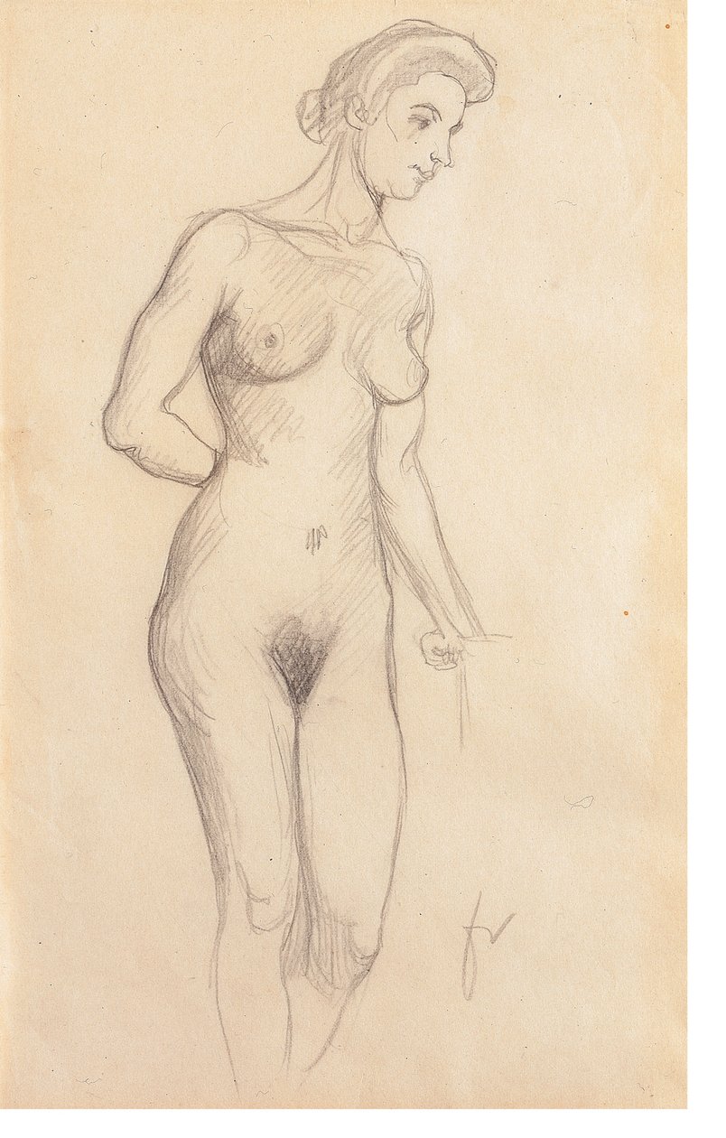 Alaston tekijältä Felix Edouard Vallotton