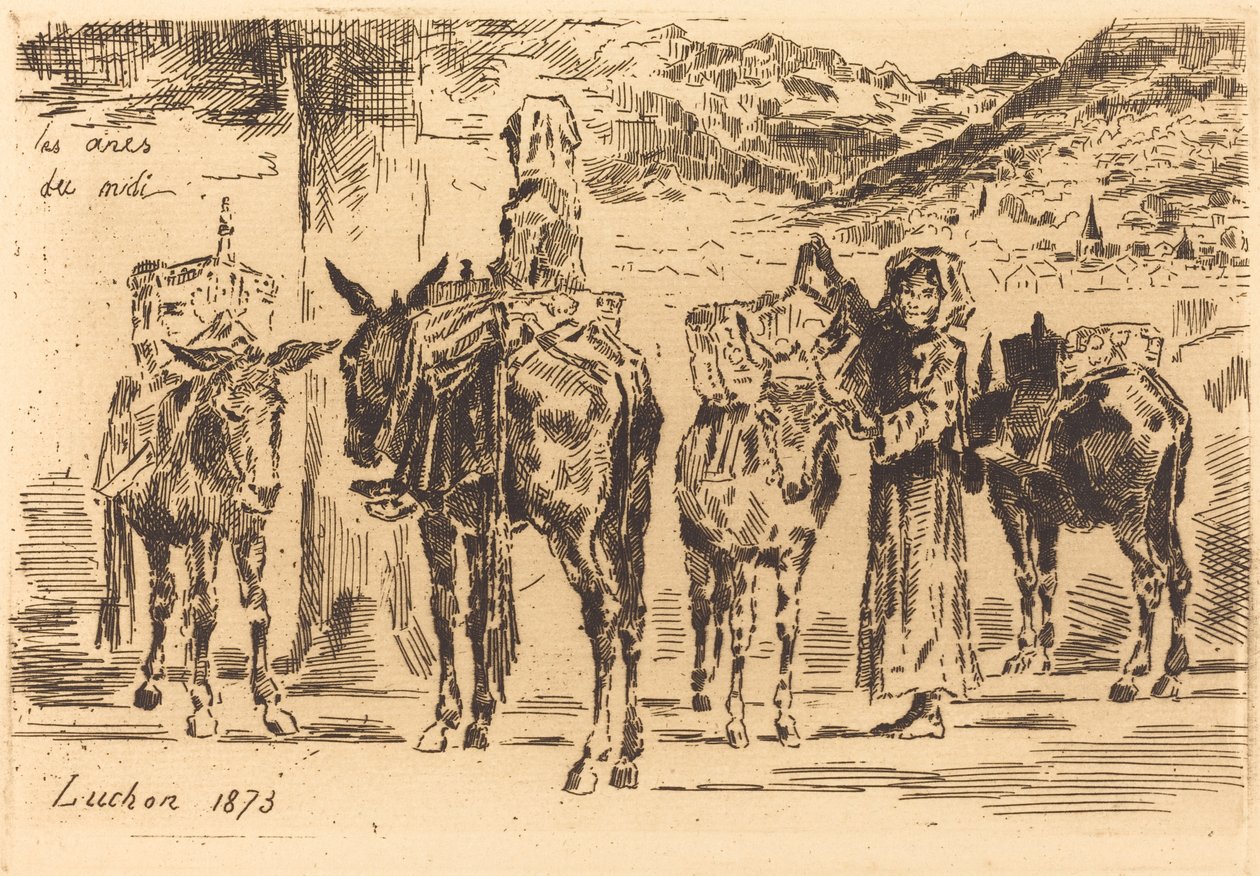 Aasinarkkia etelästä, 1873. tekijältä Felix Hilaire Buhot