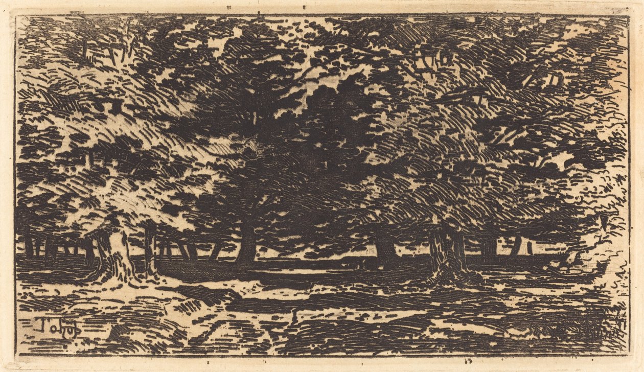 Metsä tekijältä Felix Hilaire Buhot