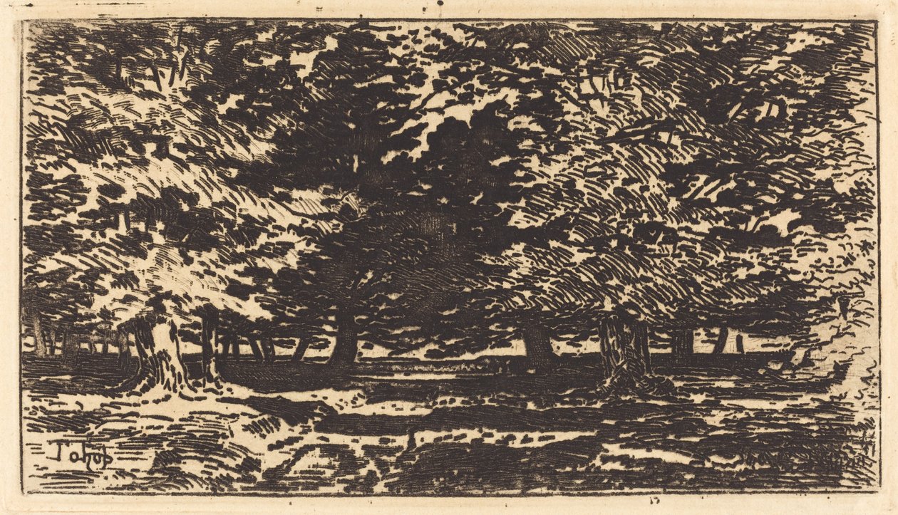 Metsä tekijältä Felix Hilaire Buhot