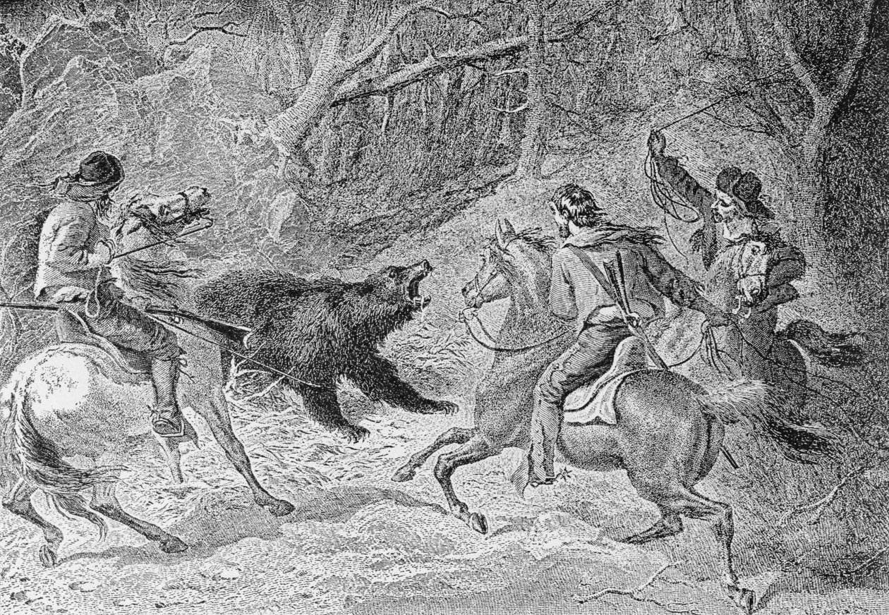 Roping a Grizzly, kuvitus "Harper