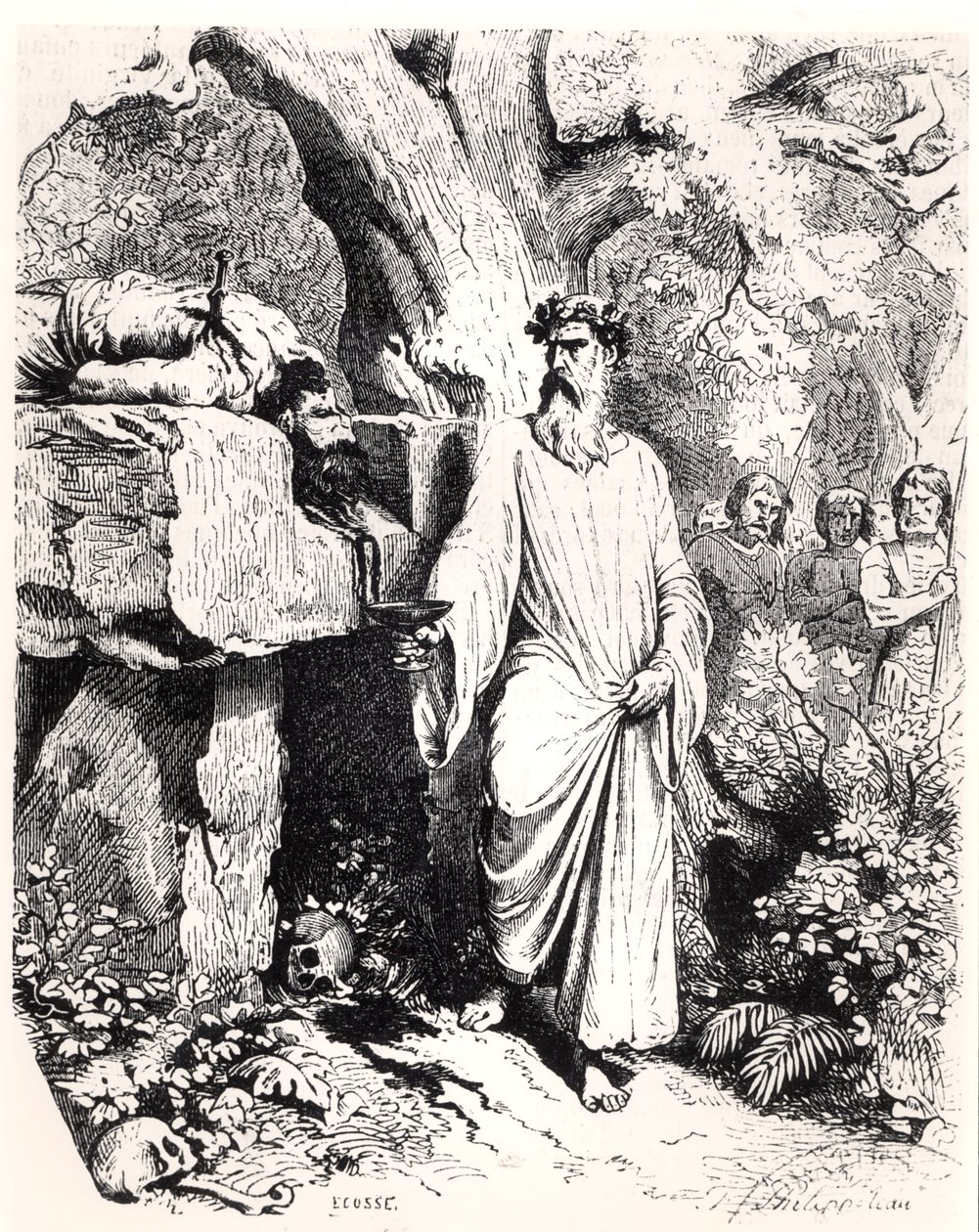 Gallilaisen druidin ihmisuhri, L. P. Anquetilin Histoire de Francesta, 1851 tekijältä Felix Philippoteaux