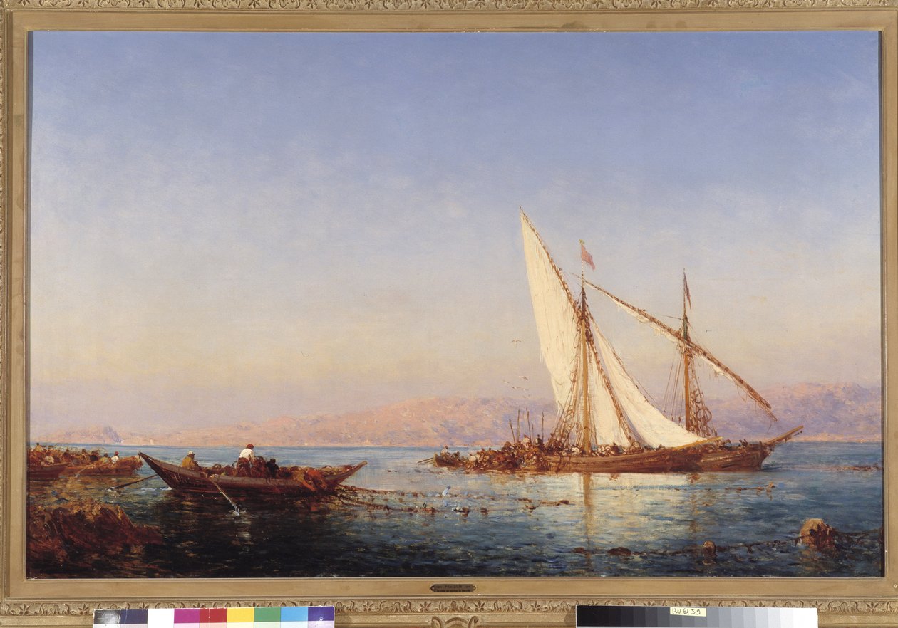 Kalastus Marseillessa Felix Ziemin (1821-1911) maalaus 1911 Pakollinen maininta: Kokoelman säätiö terveisin de Provence, Marseille tekijältä Félix Ziem