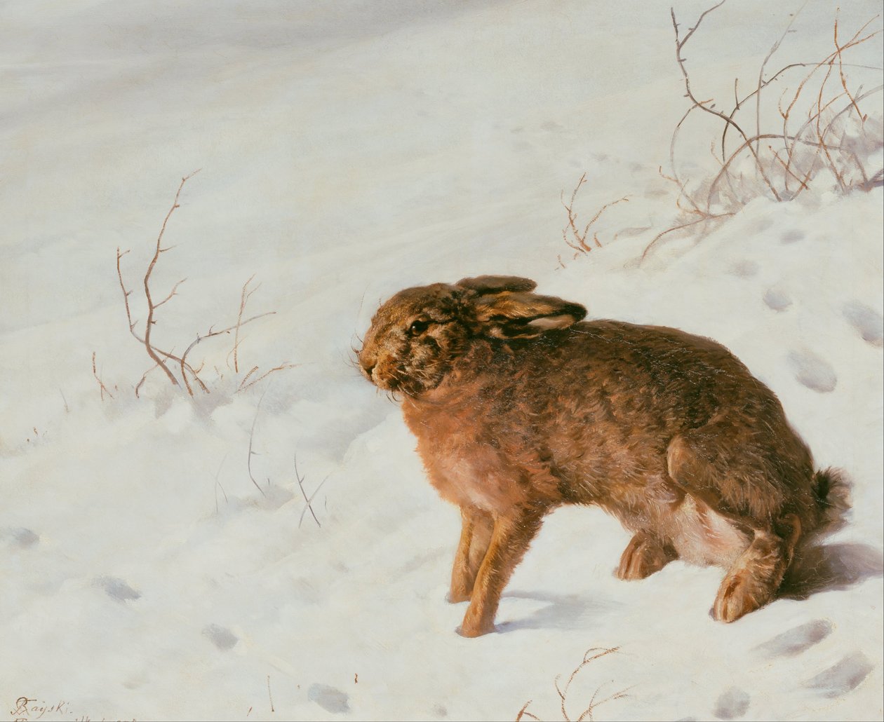 Jänis lumessa tekijältä Louis Ferdinand von Rayski