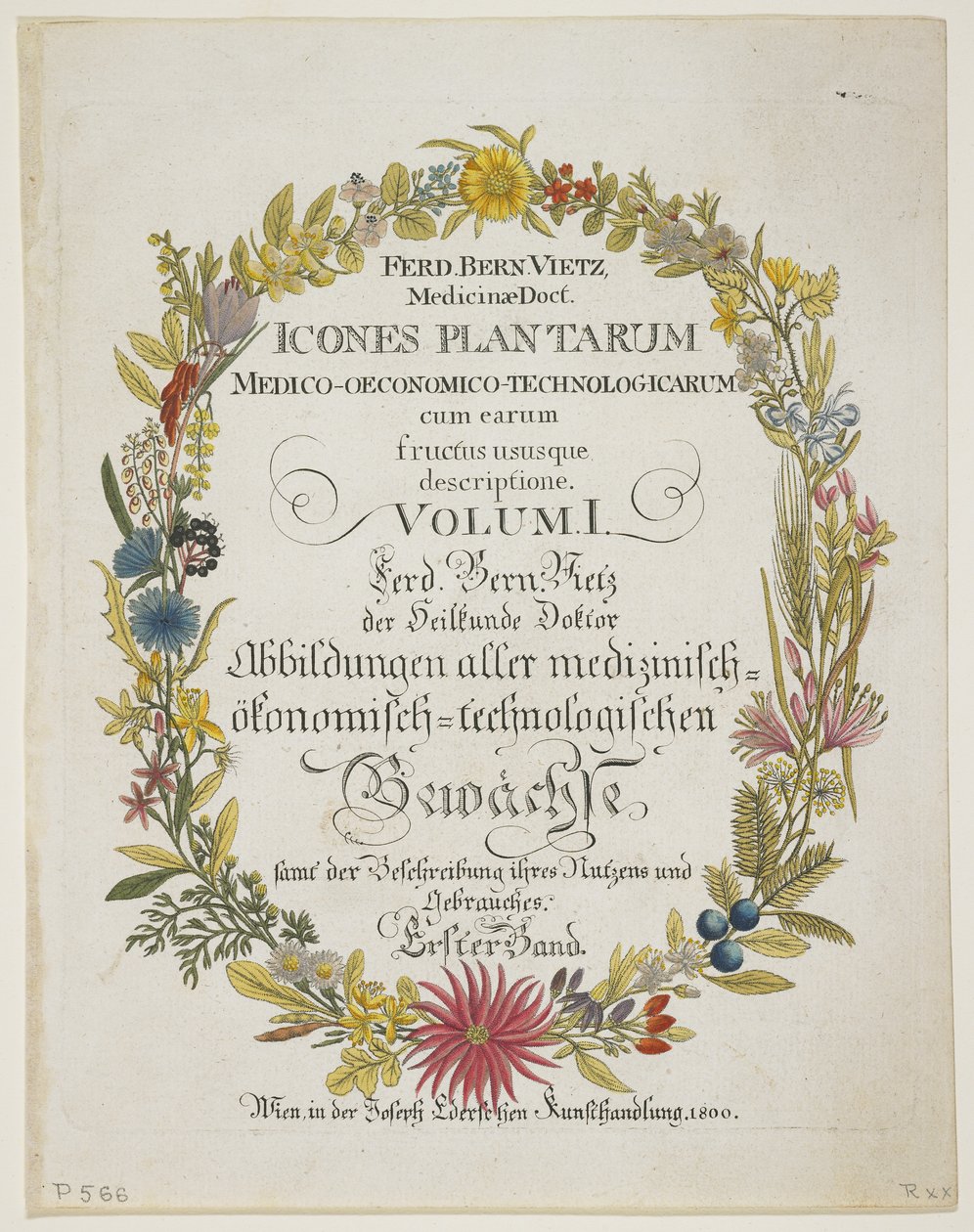 Etukappale ja otsikkosivu, osa. I, julkaisusta Icons of Plants Medico-Economic-Technology with Their Hedelmät ja Käyttötarkoitukset, 1800 (käsinvärinen kaiverrus) tekijältä Ferdinand Bernhard Vietz