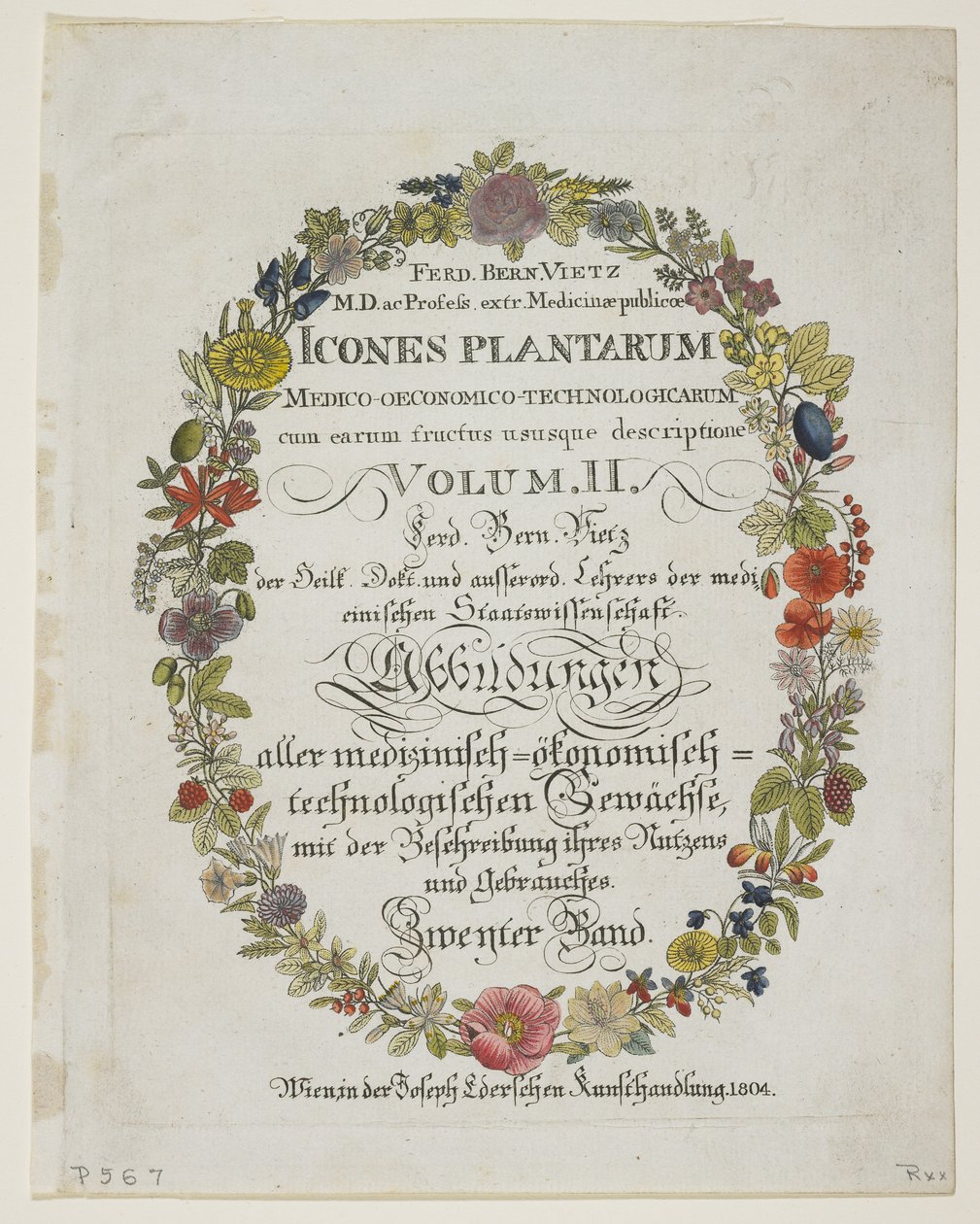 Etukappale ja otsikkosivu, osa. II, teoksesta Icons of Plants from Medico-Economic-Technology with Their Hedelmät ja Käyttötarkoitukset, 1804 (käsinvärinen kaiverrus) tekijältä Ferdinand Bernhard Vietz
