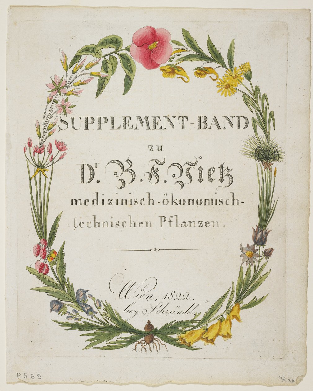 Etukappale ja otsikkosivu täydennysyhtyeeseen Dr. B. F. Vietz medizinisch-okonomisch-technischen Pflanzen tekijältä Ferdinand Bernhard Vietz