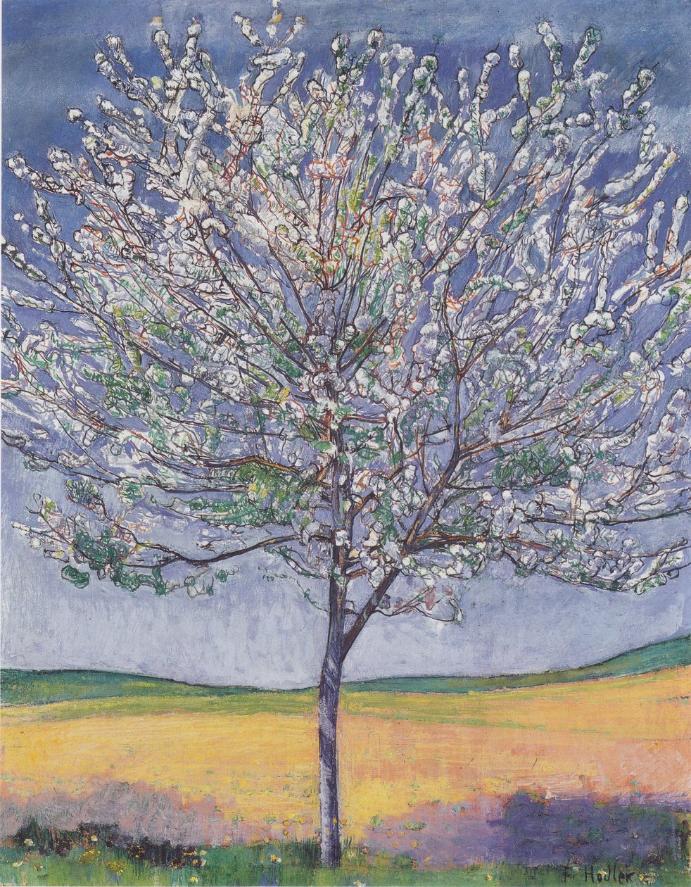 Kukassa oleva kirsikkapuu tekijältä Ferdinand Hodler