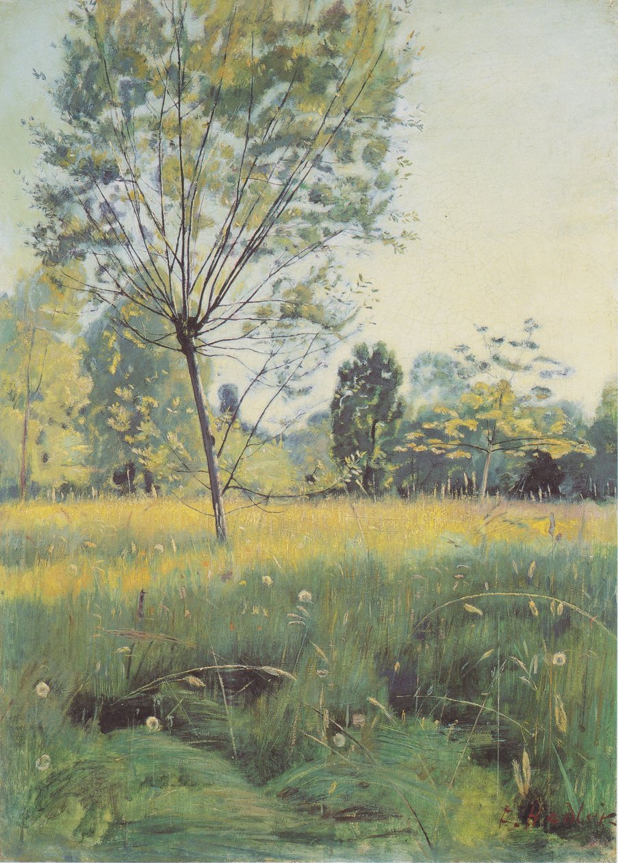 Kultainen tulva-alue tekijältä Ferdinand Hodler