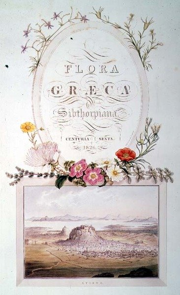 Flora Graeca Sibthorpiana -teoksen niteen 6 nimiölehti. tekijältä Ferdinand Bauer