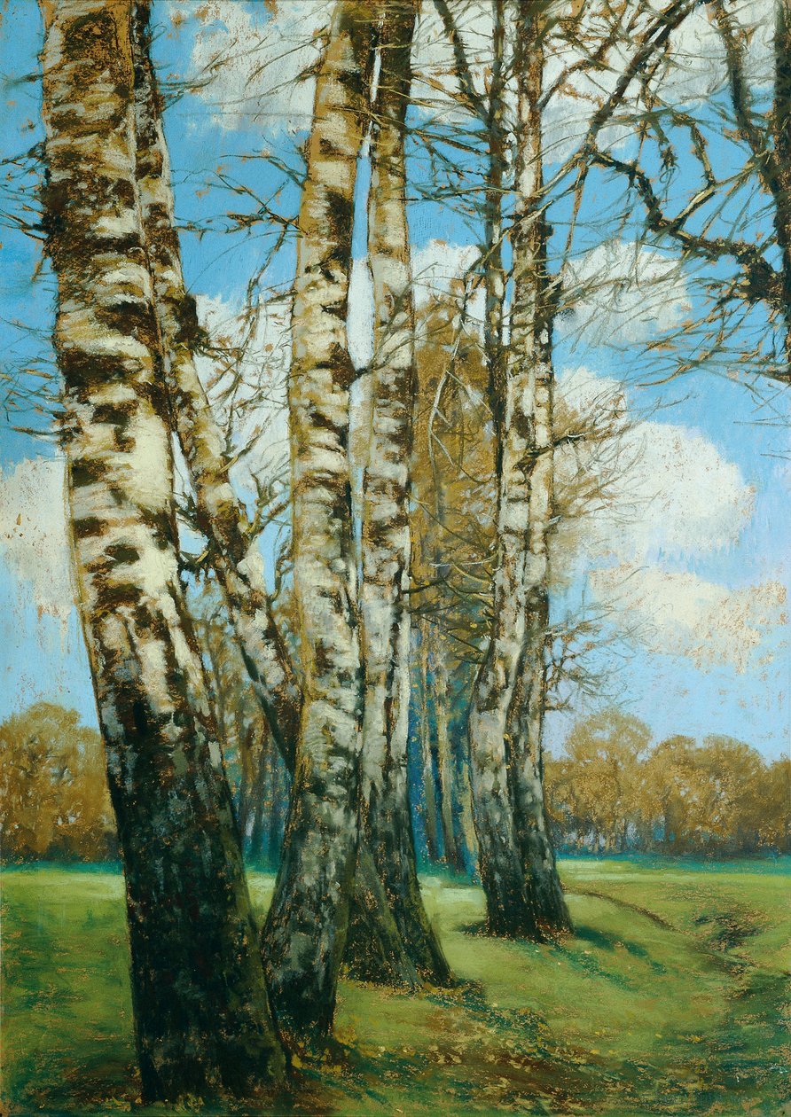 Koivu tekijältä Ferdinand Engelmuller
