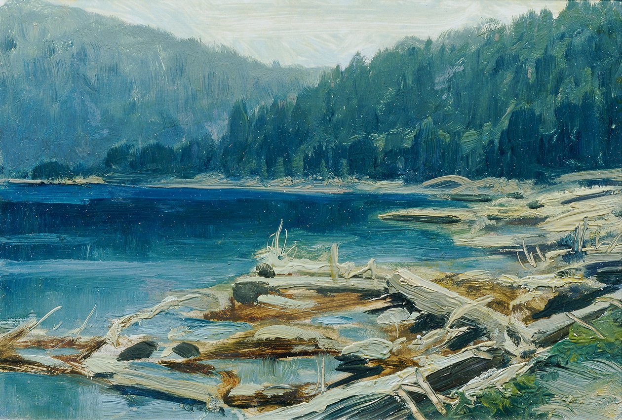 Šumava (salkusta "16 näkymää tšekkiläisistä maisemista "Česka Krajiná") tekijältä Ferdinand Engelmuller