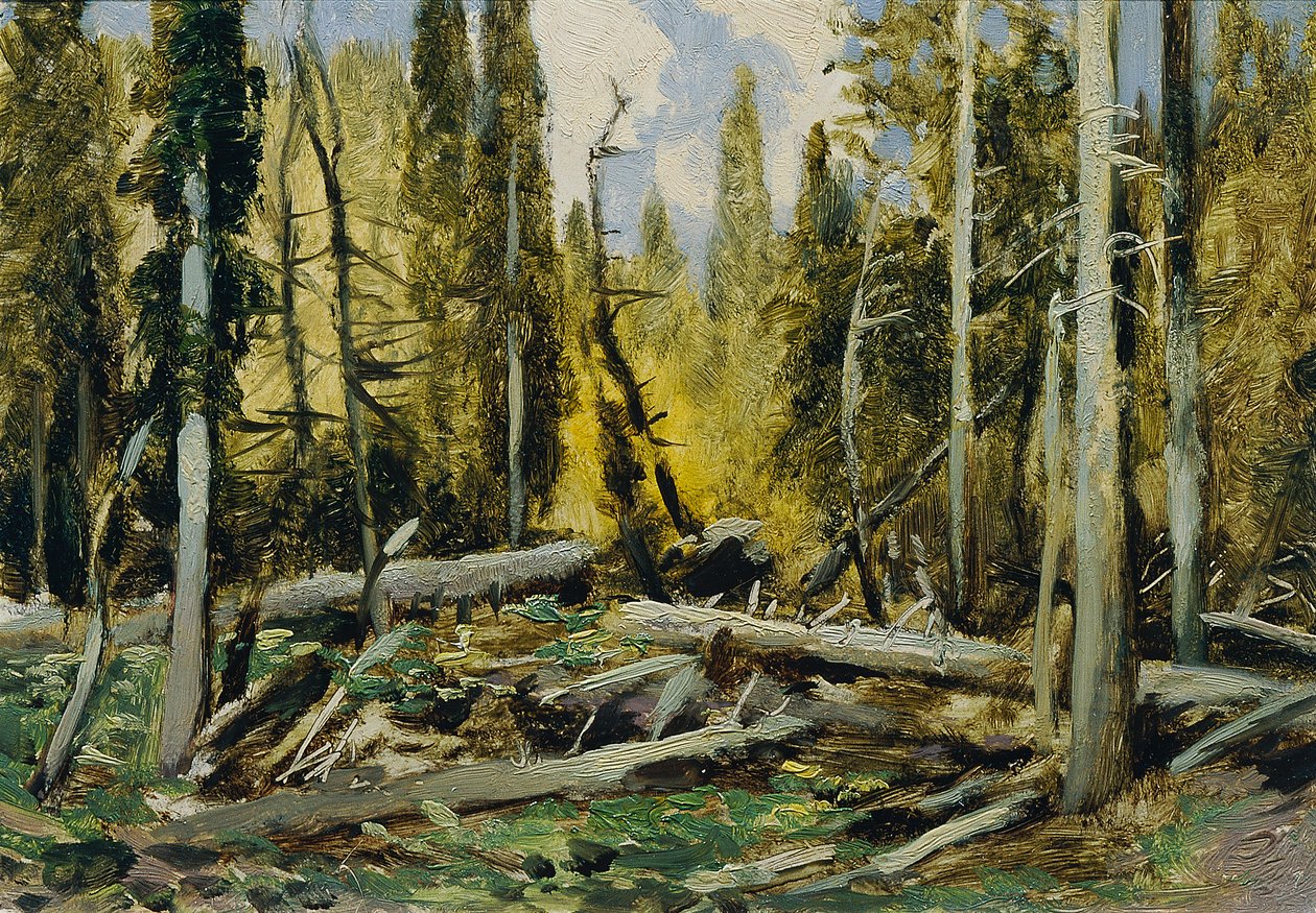 Šumava (salkusta "16 näkymää tšekkiläisistä maisemista "Česka Krajiná") tekijältä Ferdinand Engelmuller