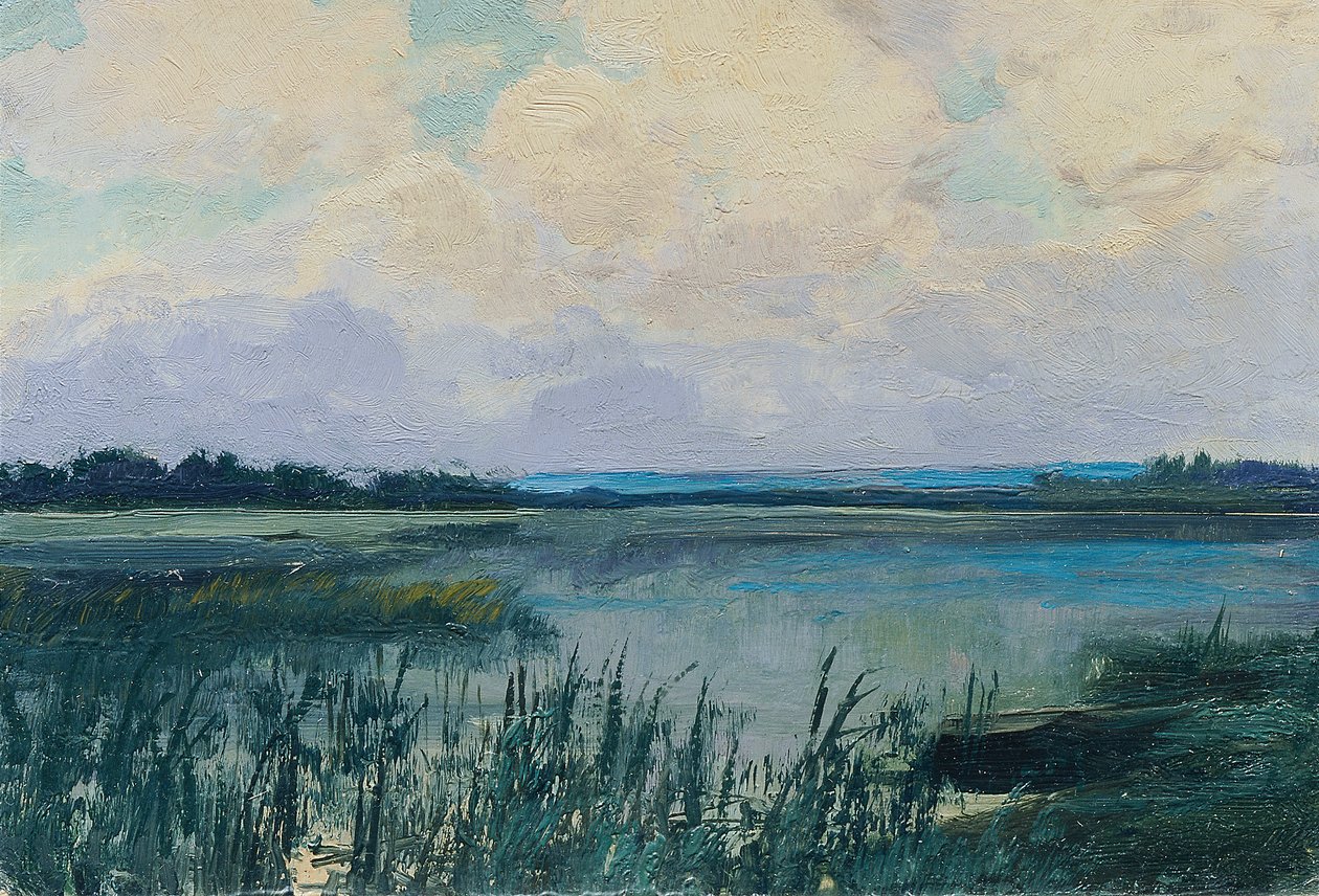 Wittingau (salkusta "16 näkymää tšekkiläisistä maisemista "Česka Krajiná") tekijältä Ferdinand Engelmuller