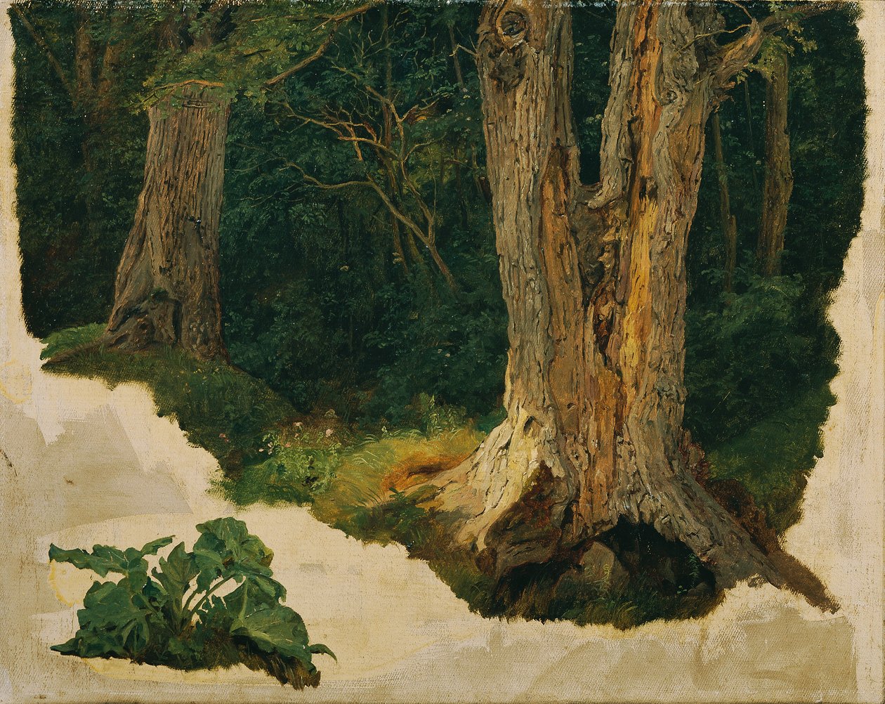 puun tutkimus tekijältä Ferdinand Georg Waldmuller