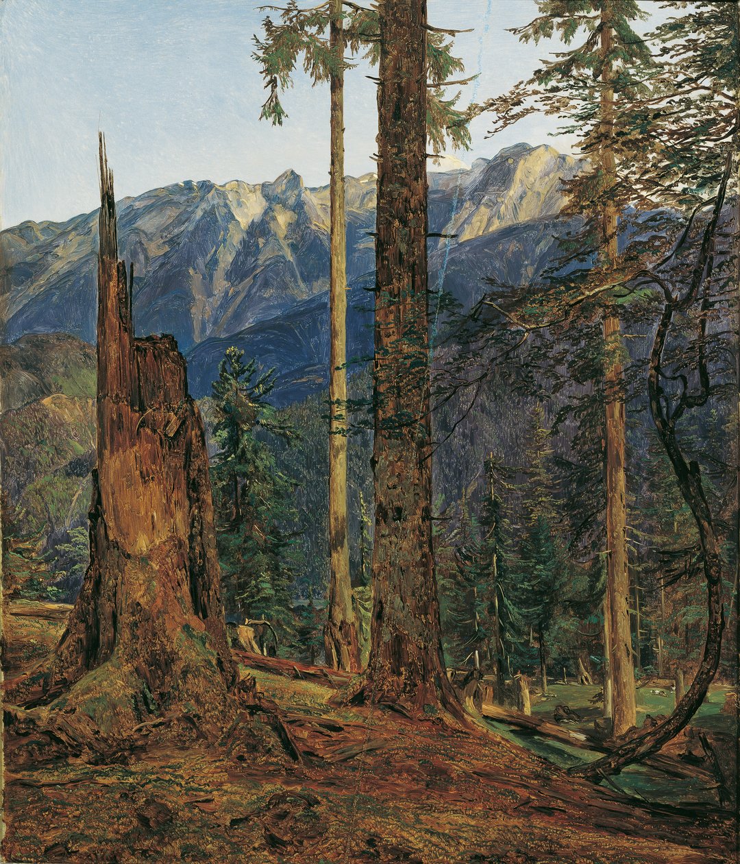 finnish tekijältä Ferdinand Georg Waldmuller