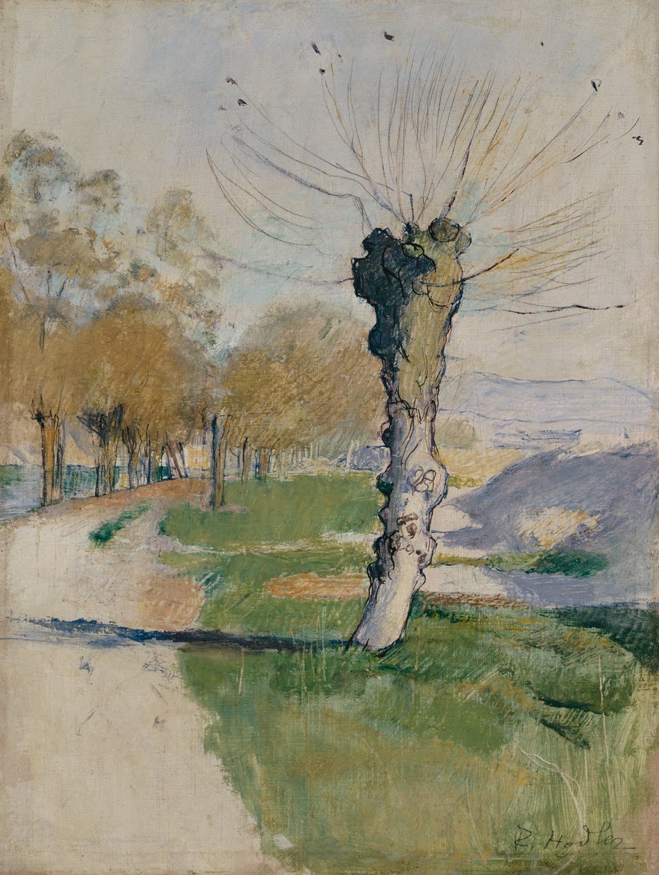 Willow Tree at the Junction, tai Willow Tree in Spring, n. 1885 (öljy kankaalle) tekijältä Ferdinand Hodler