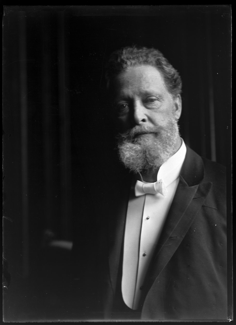 Kuva Charles Lueger (1897-1910) tekijältä Ferdinand Schmutzer