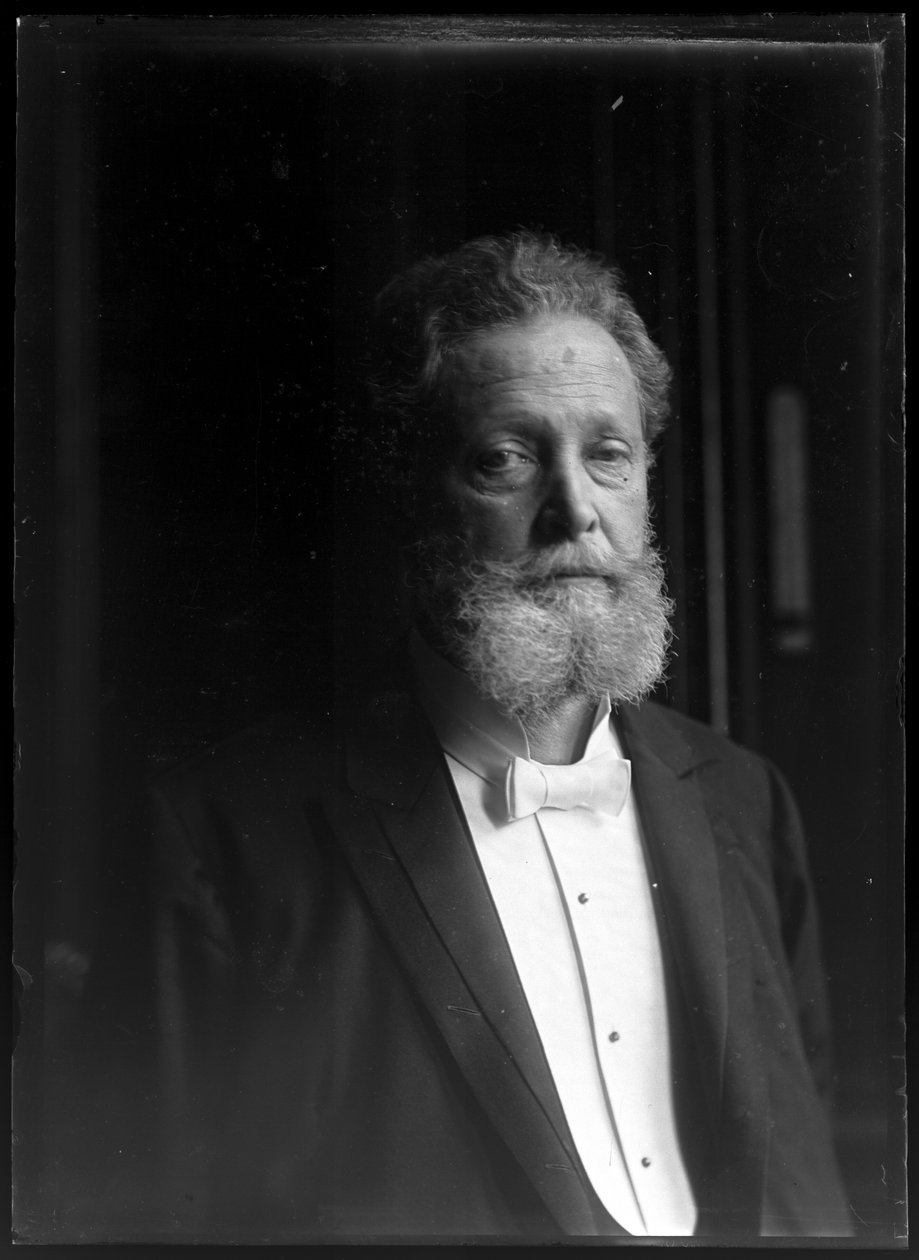 Kuva Charles Lueger (1897-1910) tekijältä Ferdinand Schmutzer