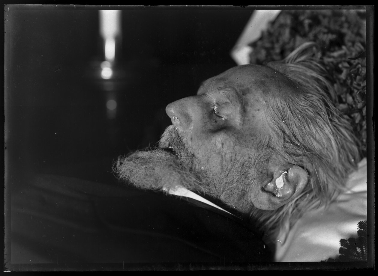 Antikvariaatti Rudolf (1812-1905) kuolinvuoteella. tekijältä Ferdinand Schmutzer
