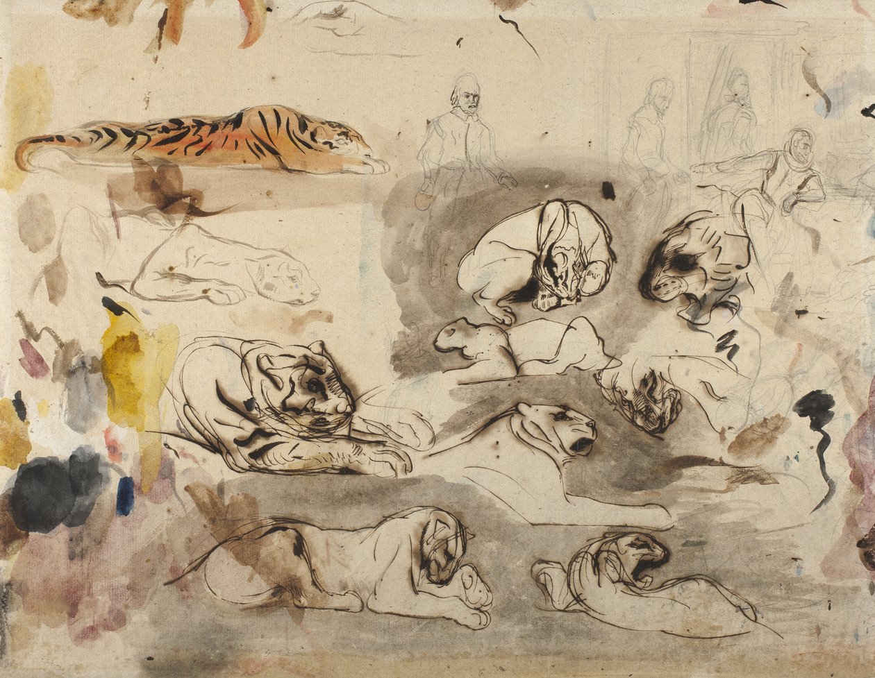Luonnoksia tiikereistä ja miehistä 1500-luvun asussa, 1828-29 tekijältä Ferdinand Victor Eugene Delacroix