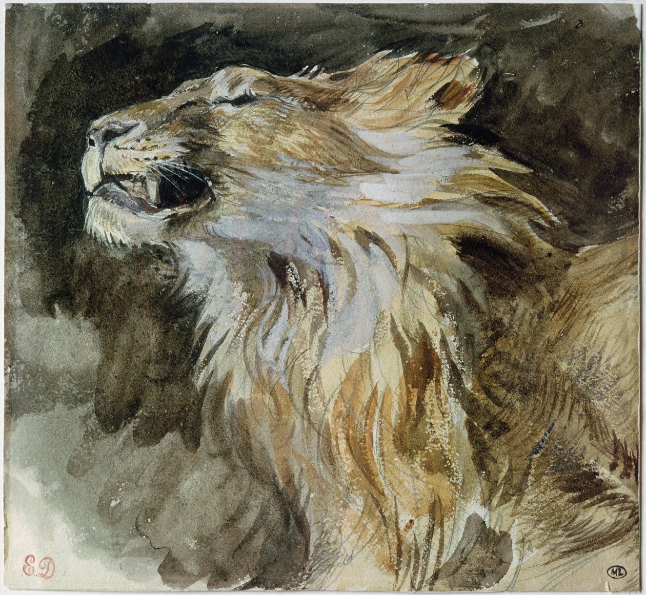 Leijonan pää (akvarelli paperille) tekijältä Ferdinand Victor Eugene Delacroix