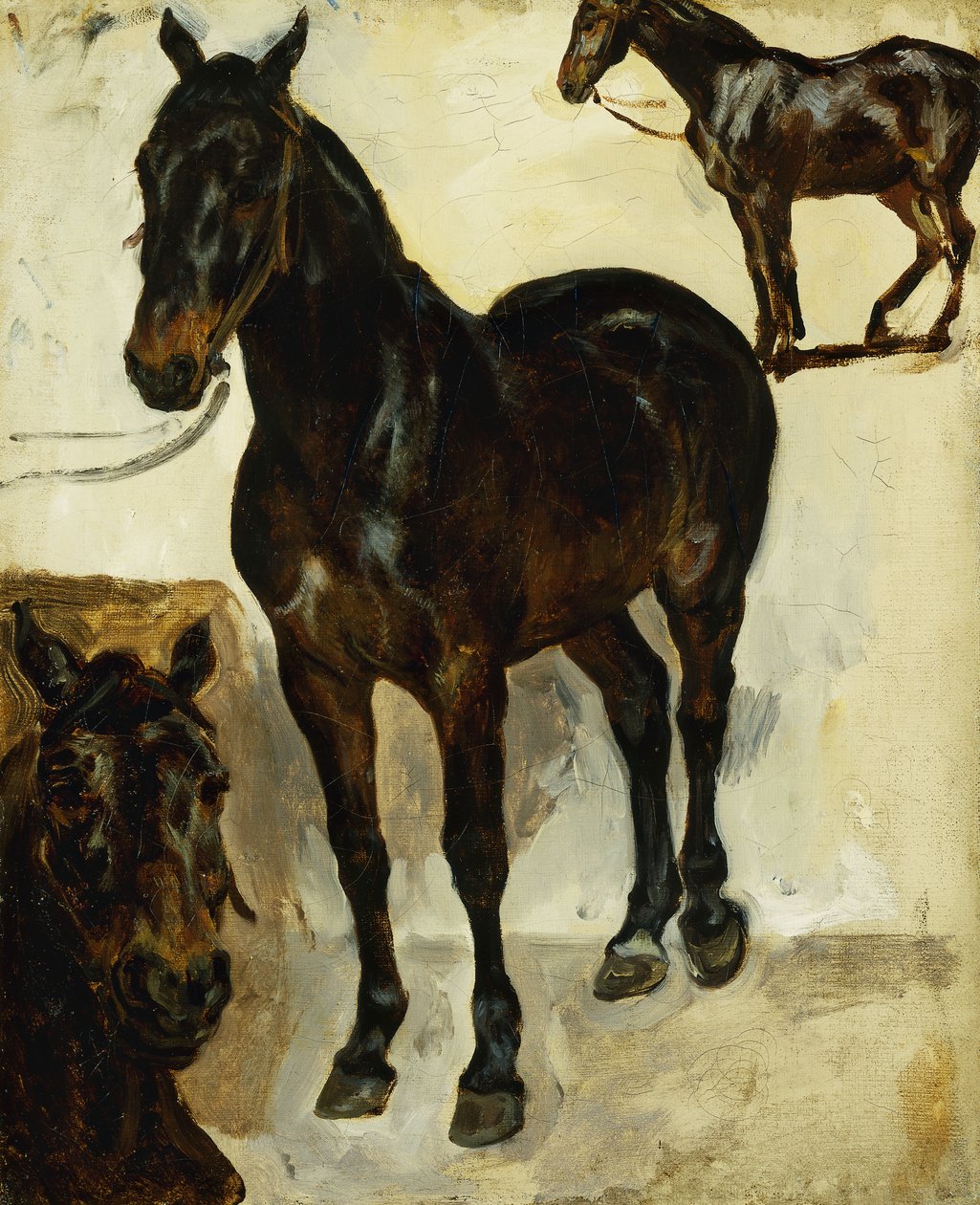 Kolme hevostutkimusta; Kolme tutkimusta hevosista, n. 1823 tekijältä Ferdinand Victor Eugene Delacroix